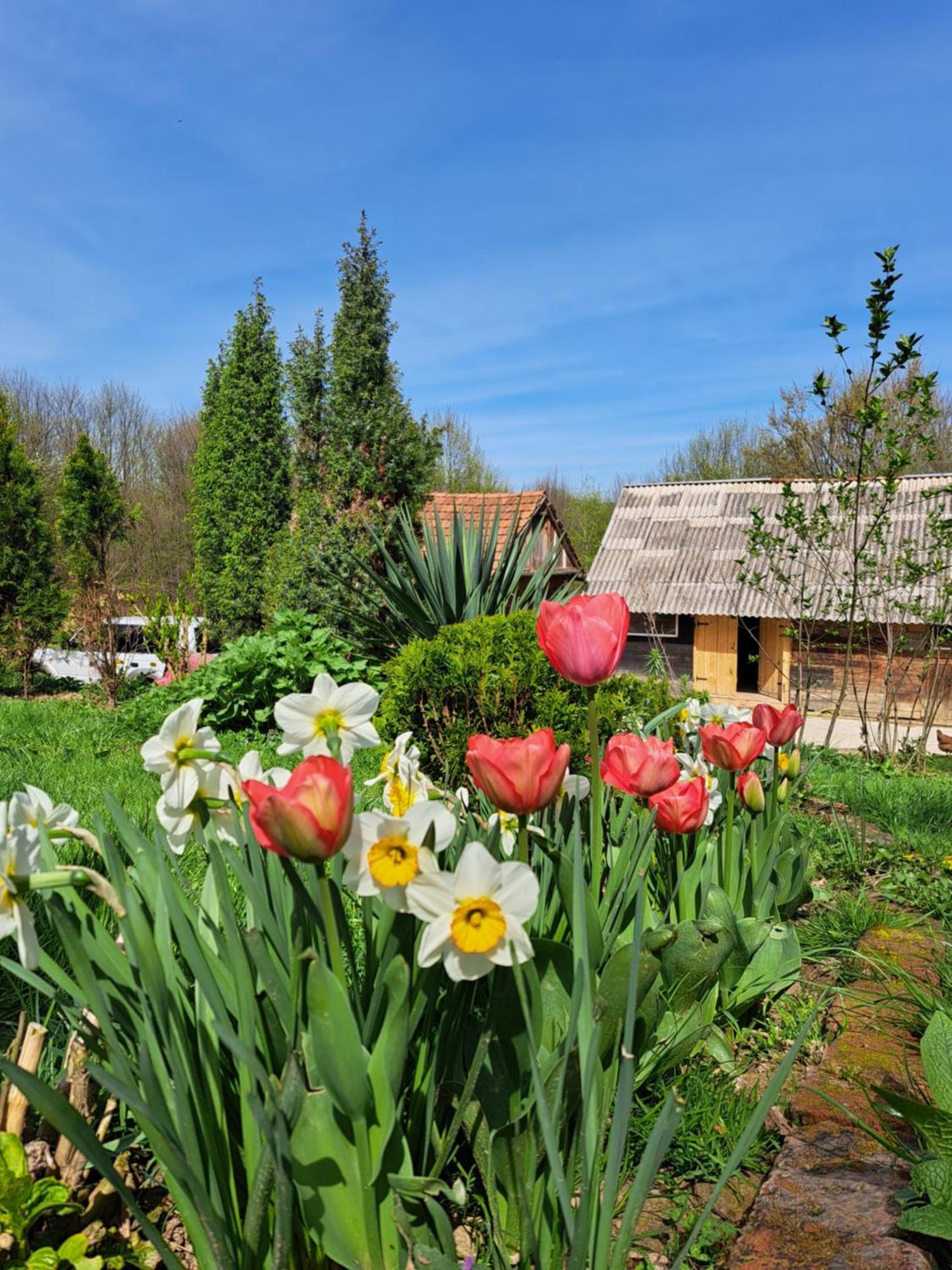 Mala Farma Nani Vila Visoko Exterior foto